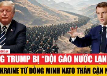 Ông Trump bị “dội gáo nước lạnh” về Ukraine từ đồng minh NATO thân cận nhất