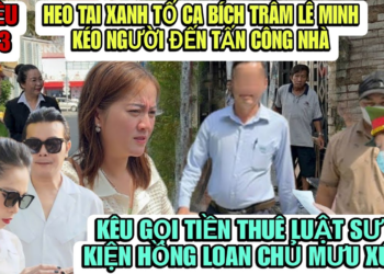 Heo Tai Xanh Tố Lên CA Bích Trâm Lê Minh Kéo Người Đến Nhà Tân Công Để Bịt Miệng Nói Về Hồng Loan