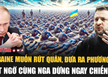 Điểm tin quốc tế 27/3: Ukraine muốn rút quân, đưa ra phương án bất ngờ cùng Nga dừng ngay chiến sự