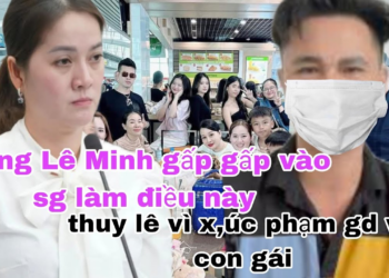 Nóng Lê Minh gấp gấp vào sg làm điều này thuy lê vì x,úc phạm gd và con gái