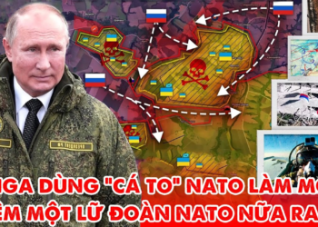 Bộ chỉ huy NATO và Ukraine liên tục điều thêm quân vào Kursk để cứu cá lớn !