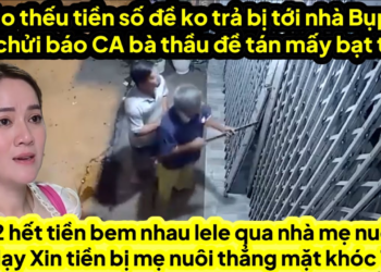6 bào bị thầu đề tới đồi nợ ve ra chửi đồi báo CA bị bà thầu đề đấm thẳng mặt,A2 hết tiền bem lele
