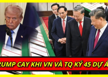 Dân Mỹ Cay Trump Vì Chống TQ Lại Ép Việt Nam Bắt Tay Tập Cận Bình
