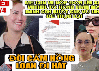 Mẹ Con Ve Nộp Đơn Tố Cáo Hồng Loan Giả Danh Con Ruột CNS Vũ Linh Để Đi Hát Trục Lợi, Cấm Đi Hát