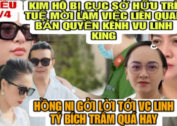 Kim Hô Bị Cục Sở Hữu Trí Tuệ Mời Làm Việc Liên Quan Bản Quyền kênh Vũ Linh Kinh,Ni Gởi Lời Tới LT-BT