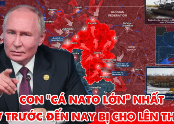 “Cá lớn” NATO liên tục kêu cứu, Ukraine vẫn đang điên cuồng đưa quân vào Kursk !