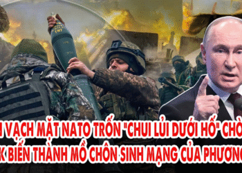 Putin vạch mặt NATO trốn “chui lủi dưới hố” chờ cứu: Kursk biến thành mồ chôn sinh mạng cho p.Tây