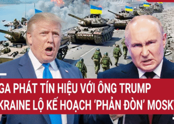 Thời sự quốc tế 6/5: Nga phát tín hiệu với ông Trump; Ukraine lộ kế hoạch ‘phản đòn’ Moskva