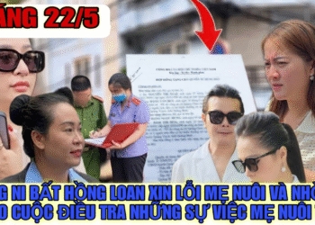 Hồng Ni Bắt Hồng Loan Xin Lỗi Mẹ Nuôi Và Nhờ C.A Vào Cuộc Điều Tra Những Điều Mẹ Nuôi Nói HL Phá